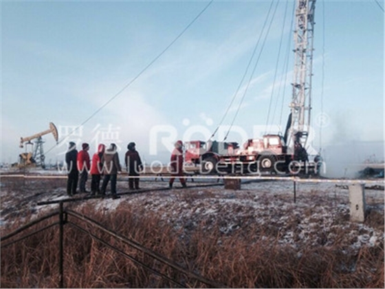 凸輪轉(zhuǎn)子泵 凸輪轉(zhuǎn)子泵