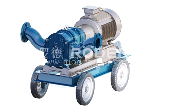 轉(zhuǎn)子泵 轉(zhuǎn)子泵