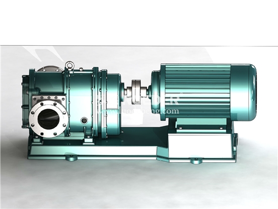 轉(zhuǎn)子泵 轉(zhuǎn)子泵