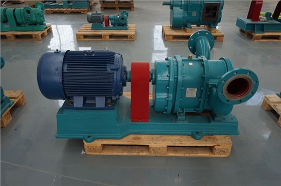 羅德RDD100型凸輪轉(zhuǎn)子泵20161202 羅德RDD100型凸輪轉(zhuǎn)子泵20161202