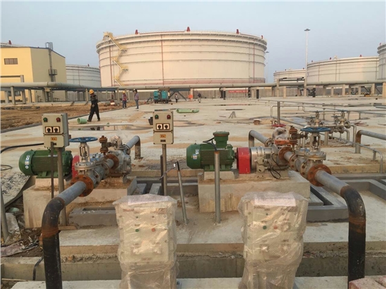 節(jié)能轉(zhuǎn)子泵 節(jié)能轉(zhuǎn)子泵