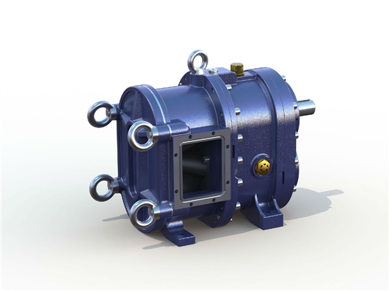 轉(zhuǎn)子泵 轉(zhuǎn)子泵