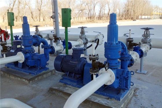 轉(zhuǎn)子泵灌泵 轉(zhuǎn)子泵灌泵