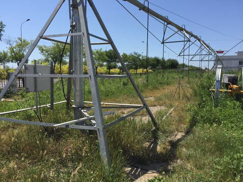 青島羅德參與節(jié)水增糧行動(dòng) 青島羅德參與節(jié)水增糧行動(dòng)