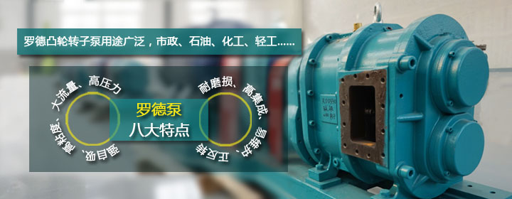 羅德凸輪轉(zhuǎn)子泵特點(diǎn) 羅德凸輪轉(zhuǎn)子泵特點(diǎn)